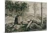 Landscape with trees, 1883 Etching,40 x 22,5 cm.-Max Klinger-Mounted Giclee Print
