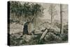 Landscape with trees, 1883 Etching,40 x 22,5 cm.-Max Klinger-Stretched Canvas