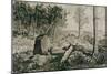 Landscape with trees, 1883 Etching,40 x 22,5 cm.-Max Klinger-Mounted Giclee Print