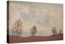 Stretched Canvas