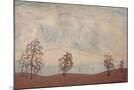 Wood Mount