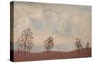 Stretched Canvas