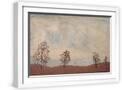 White Frame