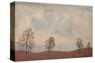 Stretched Canvas