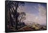 Landscape with Trees, 1927-Konstantin Fyodorovich Bogayevsky-Framed Stretched Canvas