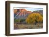 Landscape with trees and rock formations in desert in autumn, South Caineville Mesa, Utah, USA-Panoramic Images-Framed Photographic Print