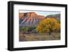 Landscape with trees and rock formations in desert in autumn, South Caineville Mesa, Utah, USA-Panoramic Images-Framed Photographic Print