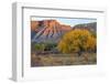 Landscape with trees and rock formations in desert in autumn, South Caineville Mesa, Utah, USA-Panoramic Images-Framed Photographic Print