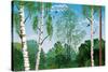 Landscape with Trunks of Birches and Pine Tree in the Foreground and Silhouettes of Different Trees-Milovelen-Stretched Canvas