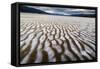 Landscape with view of desert, Mesquite Flats Sand Dunes, Death Valley National Park, California...-Panoramic Images-Framed Stretched Canvas