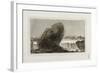 Landscape with Waterfall, before 1810-Francisco de Goya-Framed Giclee Print