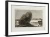 Landscape with Waterfall, before 1810-Francisco de Goya-Framed Giclee Print