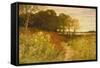 Landscape with Wild Flowers and Rabbits-Robert Collinson-Framed Stretched Canvas