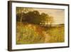 Landscape with Wild Flowers and Rabbits-Robert Collinson-Framed Giclee Print