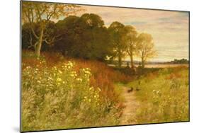 Landscape with Wild Flowers and Rabbits-Robert Collinson-Mounted Giclee Print