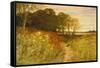 Landscape with Wild Flowers and Rabbits-Robert Collinson-Framed Stretched Canvas