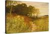 Landscape with Wild Flowers and Rabbits-Robert Collinson-Stretched Canvas