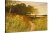 Landscape with Wild Flowers and Rabbits-Robert Collinson-Stretched Canvas