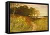 Landscape with Wild Flowers and Rabbits-Robert Collinson-Framed Stretched Canvas