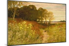 Landscape with Wild Flowers and Rabbits-Robert Collinson-Mounted Giclee Print