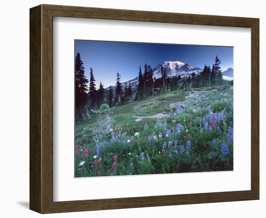 Landscape with Wild Flowers, Mount Rainier National Park, Washington State-Colin Brynn-Framed Photographic Print