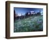 Landscape with Wild Flowers, Mount Rainier National Park, Washington State-Colin Brynn-Framed Photographic Print