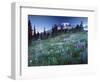 Landscape with Wild Flowers, Mount Rainier National Park, Washington State-Colin Brynn-Framed Photographic Print