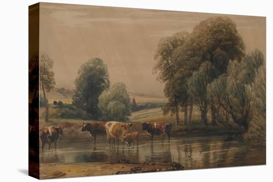 Landscape with Willows, Cows and Calf in a Stream, C.1835-Peter De Wint-Stretched Canvas