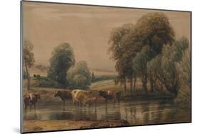 Landscape with Willows, Cows and Calf in a Stream, C.1835-Peter De Wint-Mounted Giclee Print