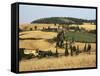 Landscape with Winding Road Lined with Cypress Trees, Monticchiello, Near Pienza, Tuscany, Italy-Ruth Tomlinson-Framed Stretched Canvas