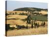 Landscape with Winding Road Lined with Cypress Trees, Monticchiello, Near Pienza, Tuscany, Italy-Ruth Tomlinson-Stretched Canvas