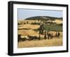 Landscape with Winding Road Lined with Cypress Trees, Monticchiello, Near Pienza, Tuscany, Italy-Ruth Tomlinson-Framed Photographic Print