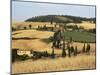 Landscape with Winding Road Lined with Cypress Trees, Monticchiello, Near Pienza, Tuscany, Italy-Ruth Tomlinson-Mounted Photographic Print