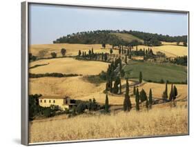 Landscape with Winding Road Lined with Cypress Trees, Monticchiello, Near Pienza, Tuscany, Italy-Ruth Tomlinson-Framed Photographic Print