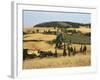 Landscape with Winding Road Lined with Cypress Trees, Monticchiello, Near Pienza, Tuscany, Italy-Ruth Tomlinson-Framed Photographic Print