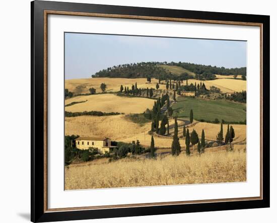 Landscape with Winding Road Lined with Cypress Trees, Monticchiello, Near Pienza, Tuscany, Italy-Ruth Tomlinson-Framed Photographic Print