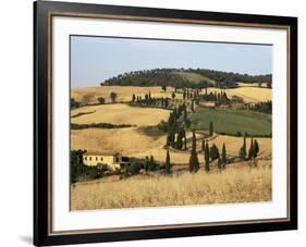 Landscape with Winding Road Lined with Cypress Trees, Monticchiello, Near Pienza, Tuscany, Italy-Ruth Tomlinson-Framed Photographic Print