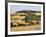 Landscape with Winding Road Lined with Cypress Trees, Monticchiello, Near Pienza, Tuscany, Italy-Ruth Tomlinson-Framed Photographic Print