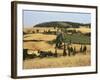 Landscape with Winding Road Lined with Cypress Trees, Monticchiello, Near Pienza, Tuscany, Italy-Ruth Tomlinson-Framed Photographic Print