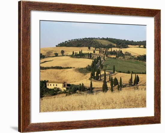 Landscape with Winding Road Lined with Cypress Trees, Monticchiello, Near Pienza, Tuscany, Italy-Ruth Tomlinson-Framed Photographic Print