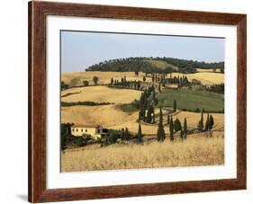 Landscape with Winding Road Lined with Cypress Trees, Monticchiello, Near Pienza, Tuscany, Italy-Ruth Tomlinson-Framed Photographic Print