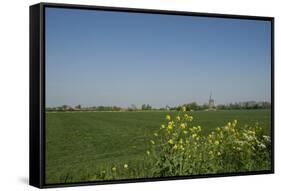 Landscape with Windmill and Wild Flowers-Ivonnewierink-Framed Stretched Canvas