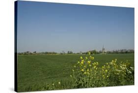 Landscape with Windmill and Wild Flowers-Ivonnewierink-Stretched Canvas