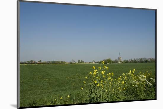 Landscape with Windmill and Wild Flowers-Ivonnewierink-Mounted Photographic Print