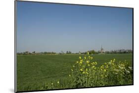 Landscape with Windmill and Wild Flowers-Ivonnewierink-Mounted Photographic Print