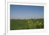 Landscape with Windmill and Wild Flowers-Ivonnewierink-Framed Photographic Print