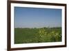 Landscape with Windmill and Wild Flowers-Ivonnewierink-Framed Photographic Print