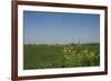 Landscape with Windmill and Wild Flowers-Ivonnewierink-Framed Photographic Print