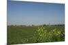 Landscape with Windmill and Wild Flowers-Ivonnewierink-Mounted Photographic Print