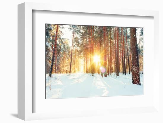 Landscape with Winter Forest and Bright Sunbeams. Sunrise, Sunset in Cold Snowy Forest-Grisha Bruev-Framed Photographic Print